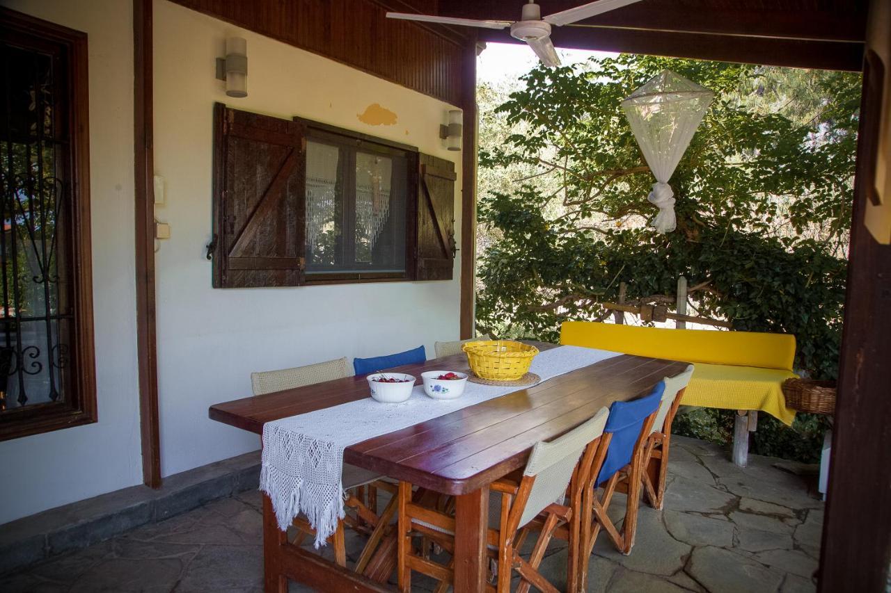 Villa Estate Irene Alejandrópolis Exterior foto